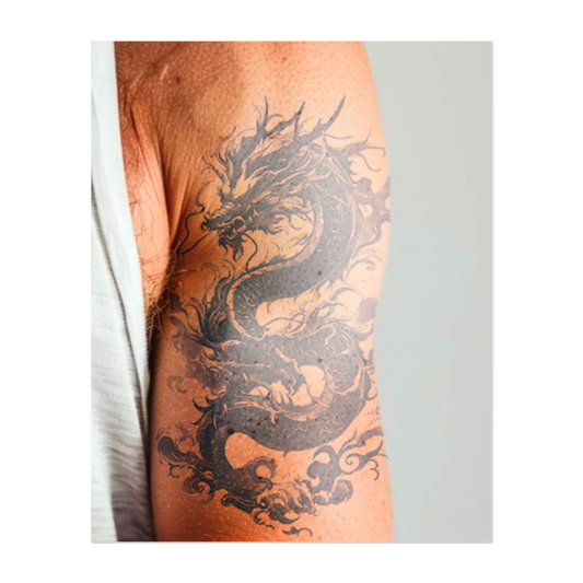 Dragon sans peur